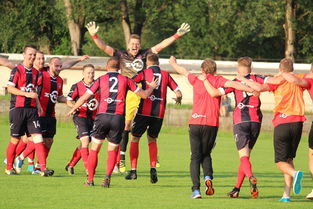 米兰体育官网首页-中超联赛中国足球逆袭 球迷情绪持续高涨,中超足球队最新动态 第3张